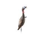 FLEXTONE FLX-FLXDY330 FUNKY CHICKEN GEN. 2