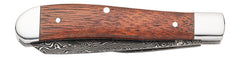 BRN 3220588B  KNIFE  STORMY PASS TRAPPER BOX