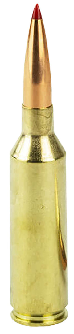 HORN 81620  MATCH      6.5 PRC   147 ELD-M   20/10