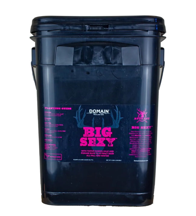 DOMAIN BSFP34     BIG SEXY
