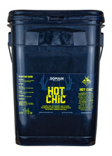 DOMAIN HCFP34     HOT CHIC