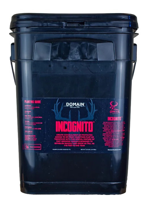 DOMAIN INCFP325   INCOGNITO