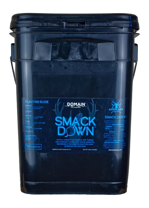 DOMAIN SDFP3      SMACK DOWN