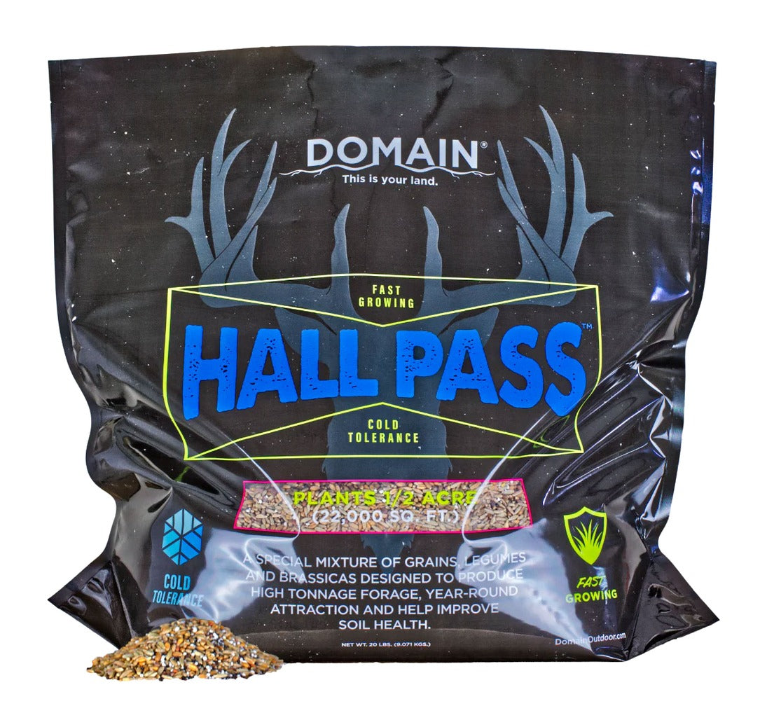 DOMAIN HPFP20      HALL PASS