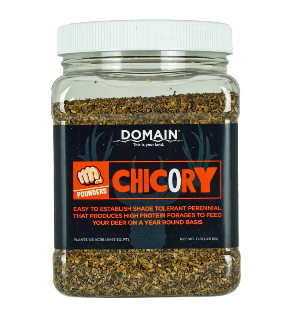 DOMAIN DCS1LB      POUNDER - CHICORY