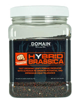 DOMAIN DHBS1LB     POUNDER - HYBRID BRASSICA