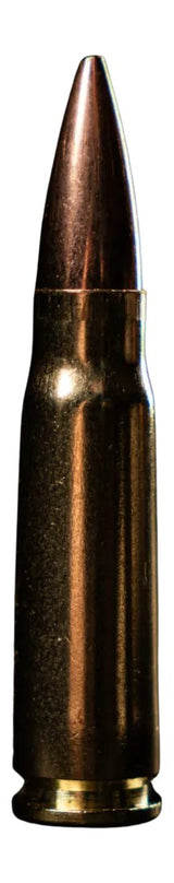 ATOMIC 88431 762         220 TCSSUB-20       20/10