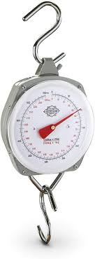 Guide Gear Weight Scale Hanging with Heavy-Duty Steel Case for Years of Durable Use