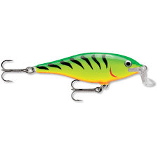 fire tiger shad