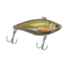 golden shiner lure