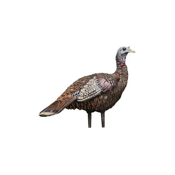 Avian-X LCD Lookout Hen Turkey Decoy